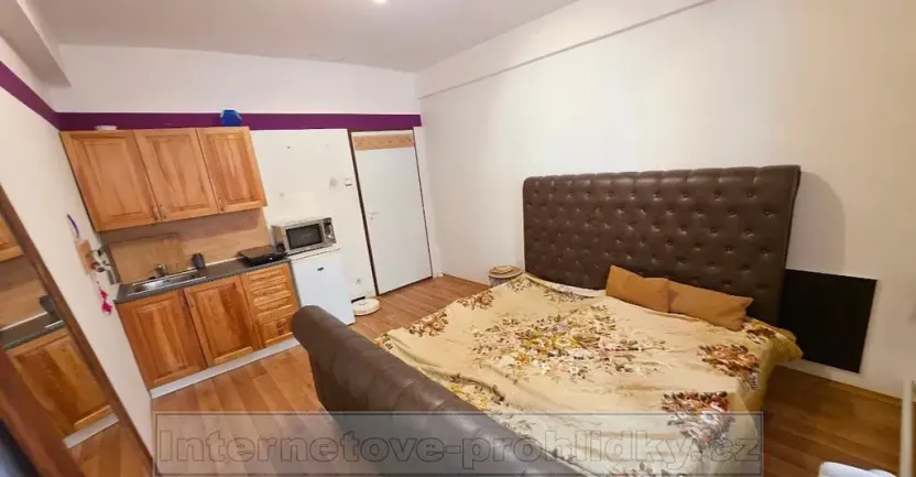 Pronájem pokoje, Praha - Holešovice, Bubenská, 18 m2