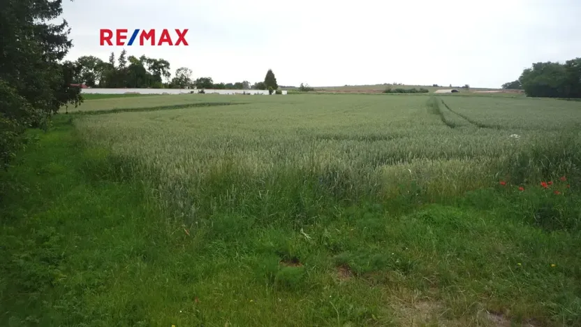 Prodej pozemku pro bydlení, Hořesedly, 985 m2