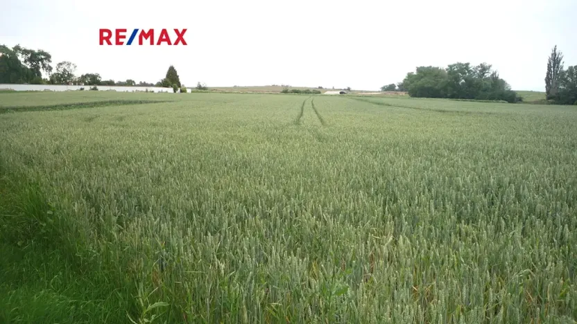 Prodej pozemku pro bydlení, Hořesedly, 985 m2