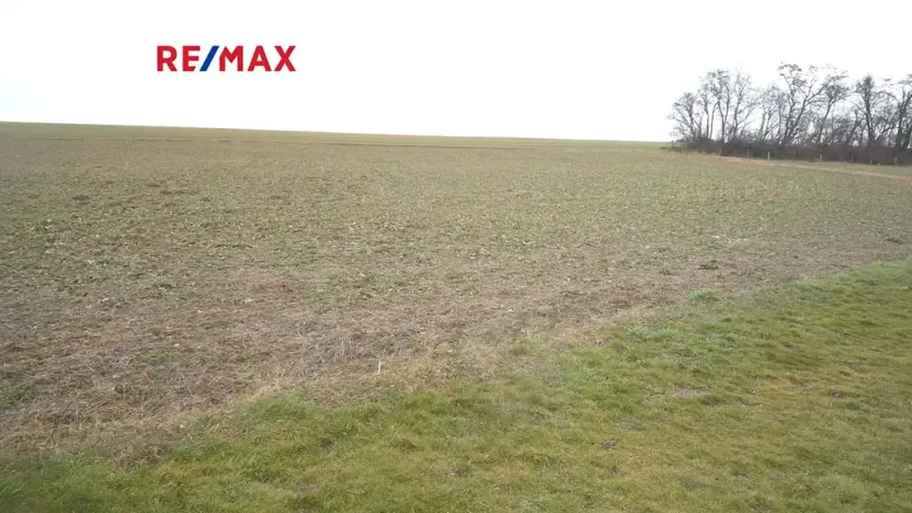 Prodej pozemku pro bydlení, Pavlíkov, 895 m2