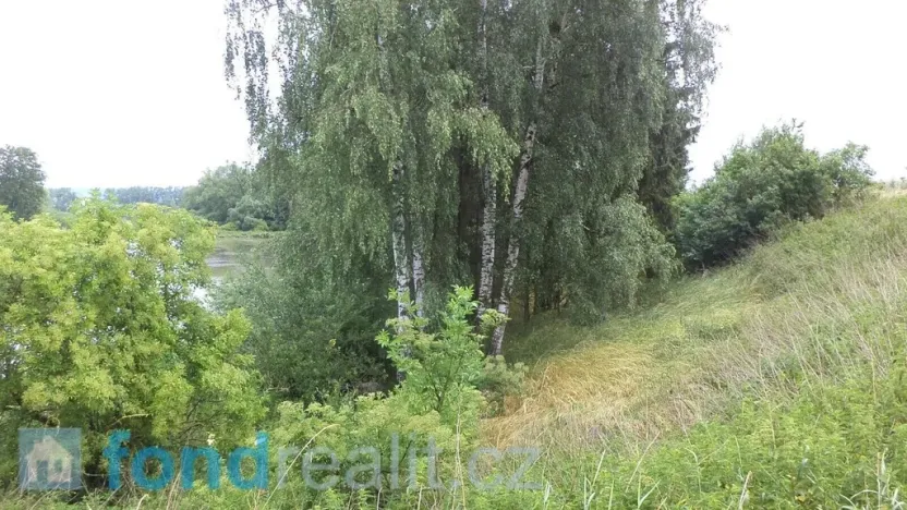 Prodej pozemku, Třebařov, 4992 m2