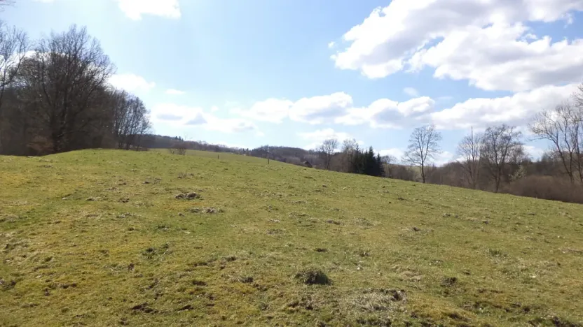 Prodej pozemku, Heřmanov - Fojtovice, 4633 m2