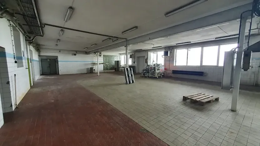 Prodej výrobních prostor, Nížkov, 7316 m2