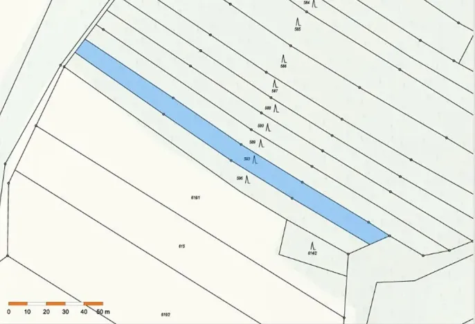 Prodej lesa, Dolní Vilémovice, 1844 m2