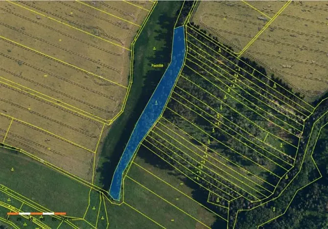 Prodej lesa, Dolní Vilémovice, 6622 m2