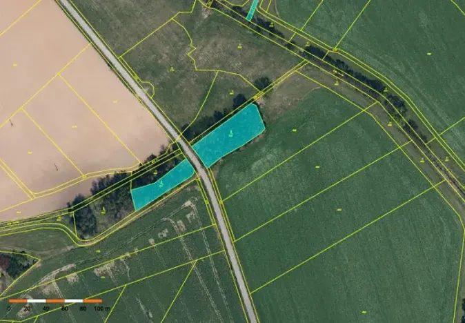 Prodej lesa, Dolní Cerekev, 11509 m2