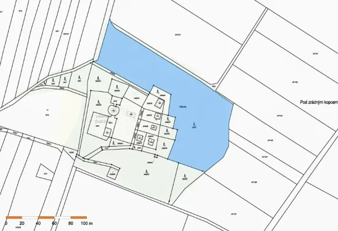 Prodej lesa, Budišov, 11874 m2