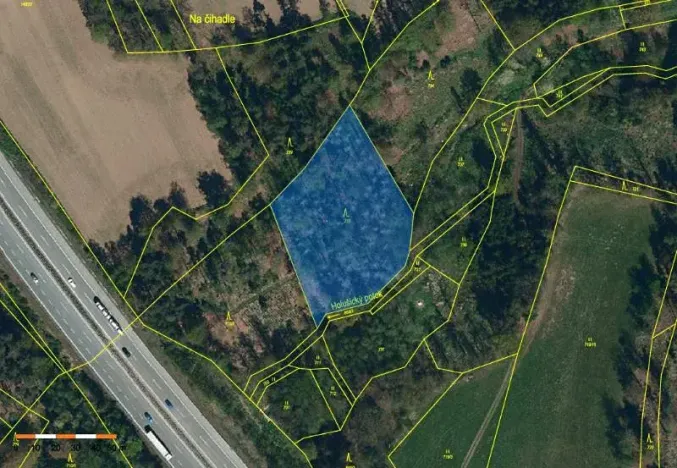 Prodej lesa, Jiřice, 4435 m2