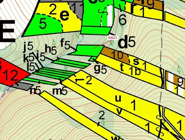 Dražba lesa, Havlíčkův Brod, 870 m2