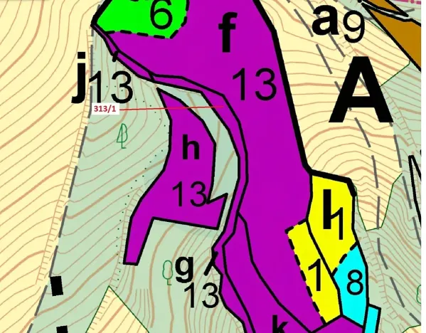 Dražba lesa, Bouzov, 1158 m2