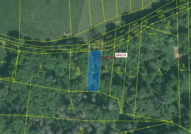 Dražba lesa, Milavče, 441 m2