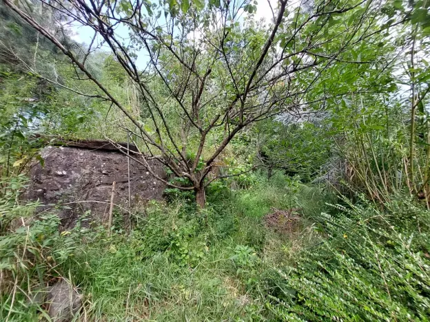 Prodej zahrady, Praha - Sedlec, 3200 m2