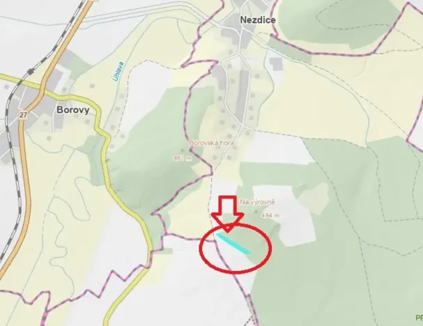 Prodej lesa, Nezdice, 4671 m2