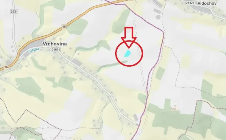 Prodej podílu lesa, Nová Paka, 2049 m2