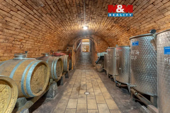 Prodej vinného sklepa, Velké Bílovice, Svatovavřinecká, 188 m2