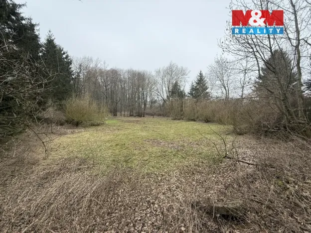 Prodej rybníku, Rychnov nad Kněžnou - Lipovka, 5965 m2