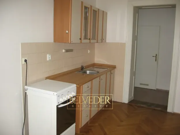 Pronájem bytu 1+1, Teplice, U Hadích lázní, 44 m2