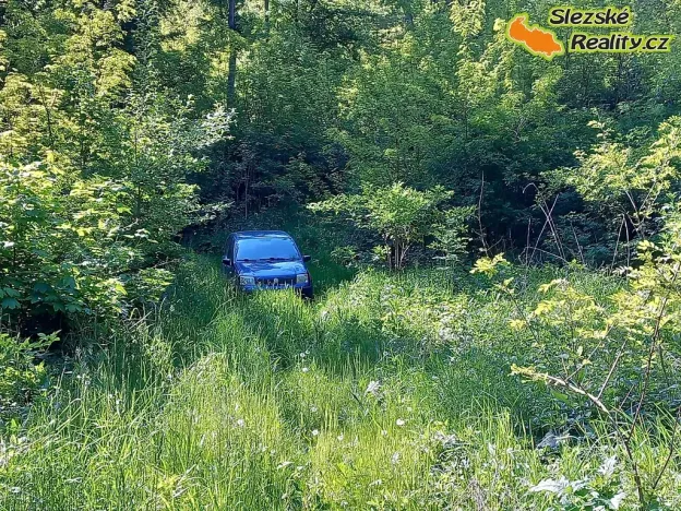 Prodej lesa, Diváky, 6415 m2