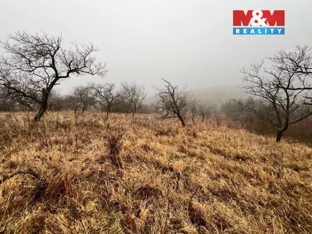 Prodej zahrady, Židlochovice, 2207 m2