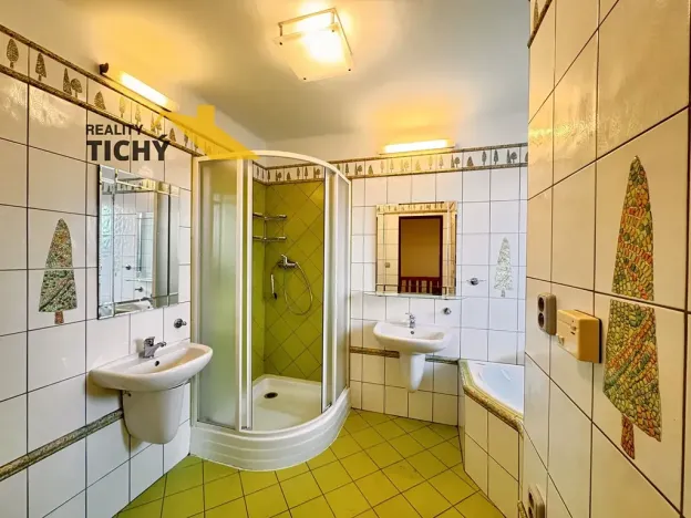 Prodej rodinného domu, Nové Město nad Metují, V Aleji, 213 m2