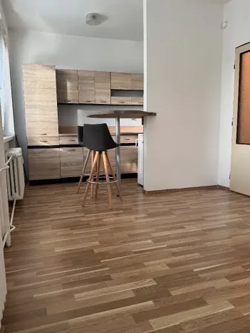 Prodej bytu 1+kk, Ostrava, Heleny Salichové, 27 m2