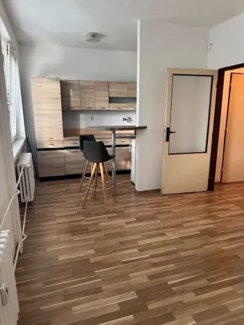 Prodej bytu 1+kk, Ostrava, Heleny Salichové, 27 m2