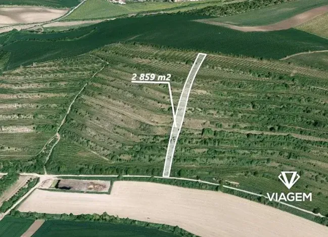 Prodej pole, Morkůvky, 2859 m2