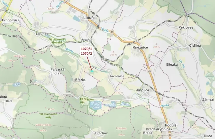 Dražba lesa, Kněžnice, 2271 m2