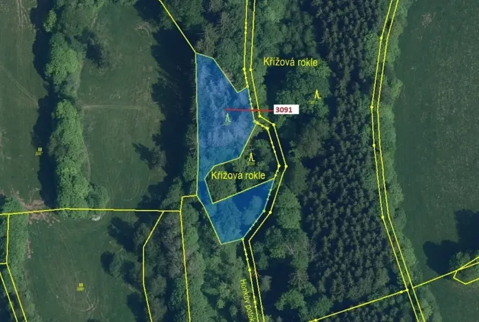 Dražba lesa, Benešov u Semil, 1964 m2