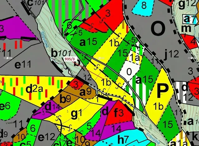 Dražba lesa, Jílové u Držkova, 2349 m2