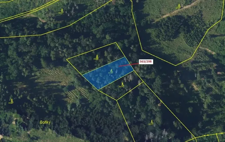 Dražba lesa, Spešov, 1372 m2