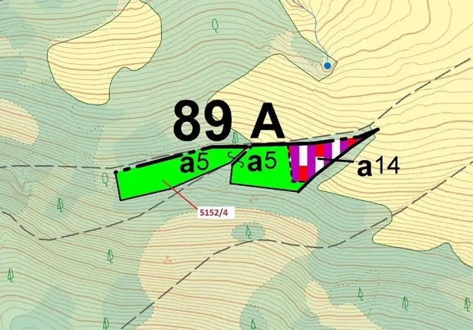 Dražba lesa, Mikulášovice, 3638 m2
