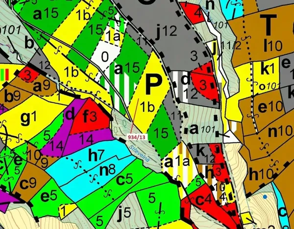 Dražba lesa, Jílové u Držkova, 6213 m2