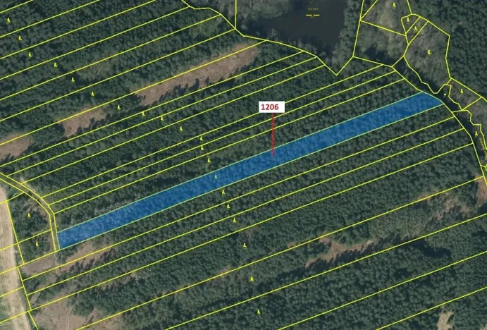 Dražba lesa, Chrbonín, 10189 m2