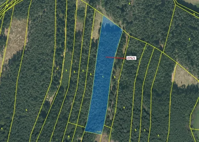 Dražba lesa, Psárov, 15717 m2