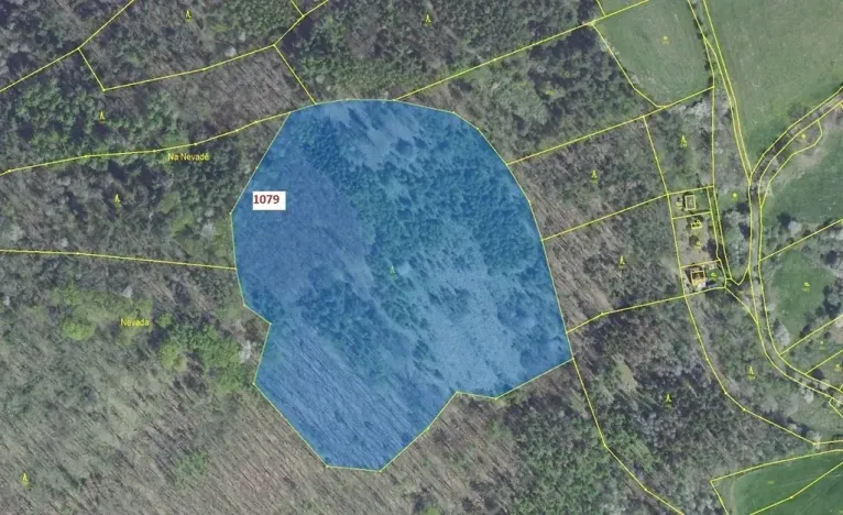 Dražba lesa, Nové Dvory, 32925 m2