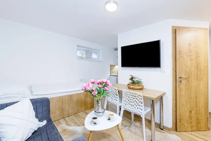 Pronájem bytu 1+kk, Zlín, Vejvanovská, 20 m2