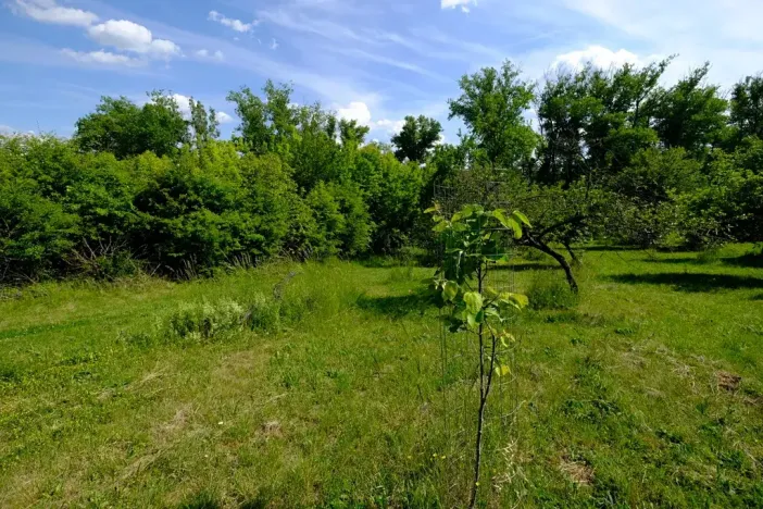 Prodej zahrady, Uherský Brod, 2032 m2