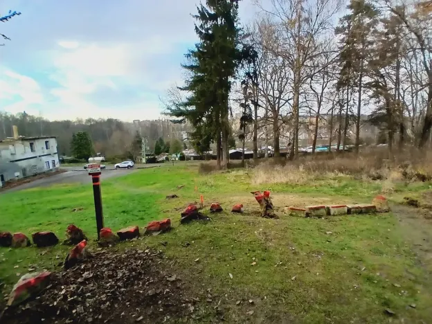 Prodej pozemku pro bydlení, Cheb, Klášterní, 7311 m2