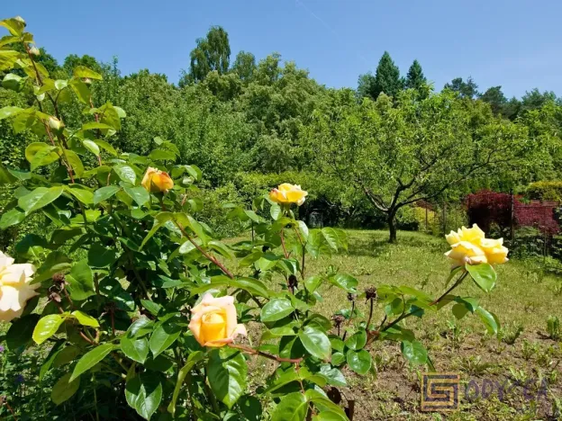 Prodej rodinného domu, Ostrava, Pod Nemocnicí, 167 m2