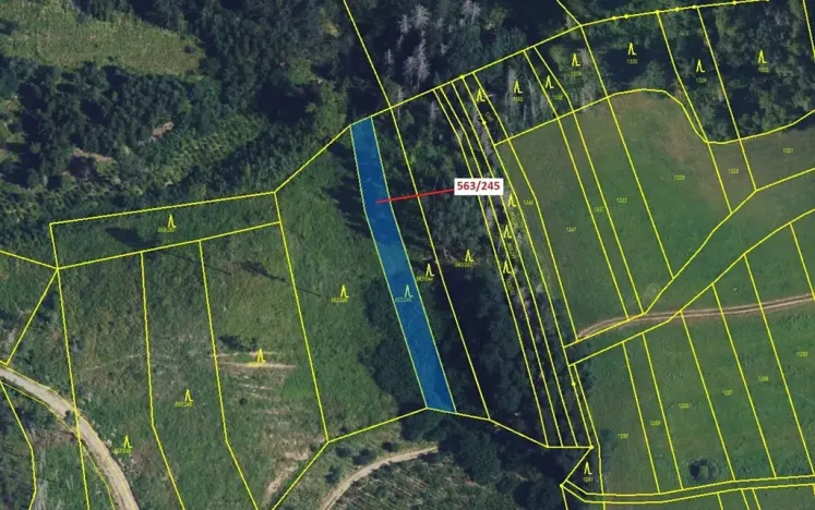 Dražba lesa, Spešov, 1009 m2