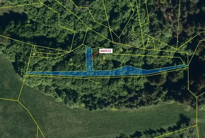 Dražba lesa, Hovězí, 550 m2