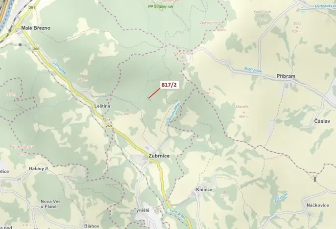 Dražba lesa, Zubrnice, 815 m2