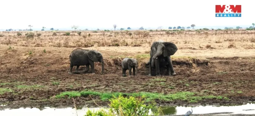 Prodej rodinného domu, Ostrov, Klínovecká, 115 m2