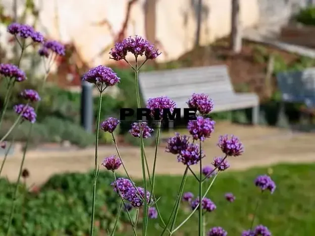 Pronájem bytu 2+kk, Praha - Smíchov, Holečkova, 79 m2