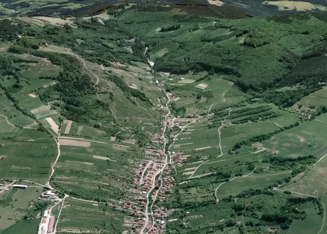 Prodej podílu lesa, Nedašov, 3651 m2