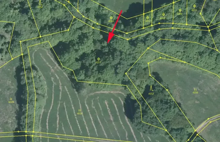 Prodej podílu louky, Nedašov, 962 m2