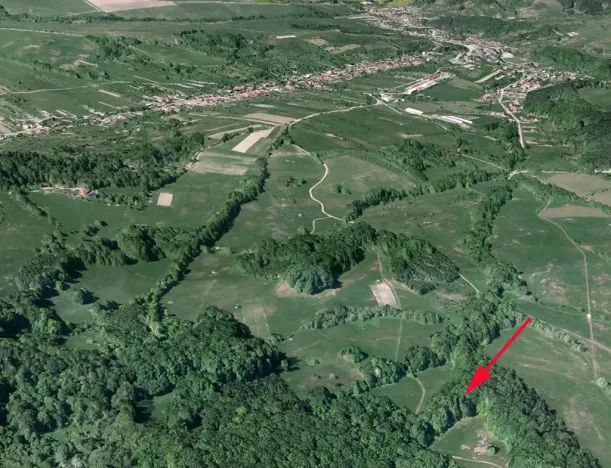 Prodej podílu lesa, Nedašov, 632 m2