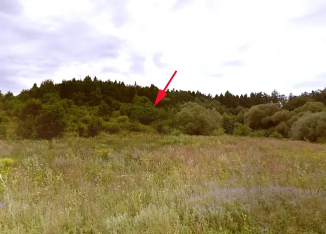 Prodej podílu louky, Jankovice, 4420 m2