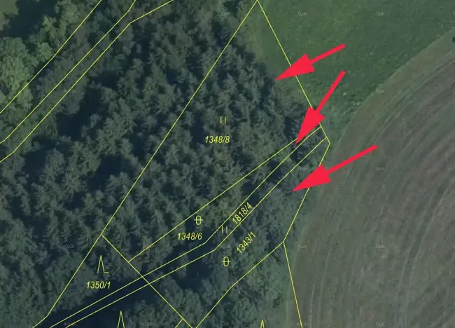 Prodej lesa, Horní Studénky, 1864 m2